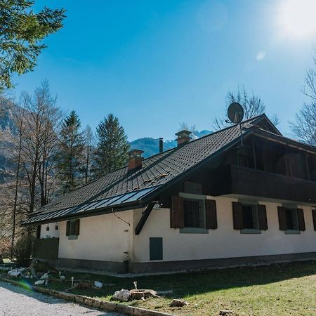 Tuba Apartments Bohinj Exterior foto